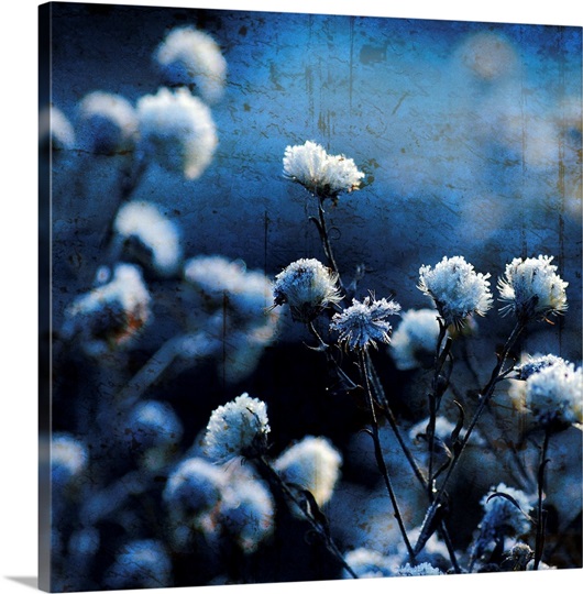 Blue Bouquet