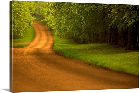 Country Road