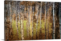 Crunchy