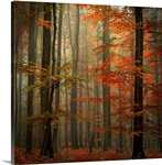 Fall