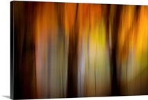 Fall Light I