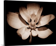 Floral Black and White II