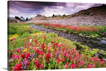 Flowing Red