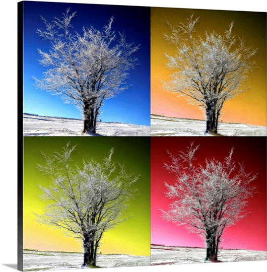 Four Seasons