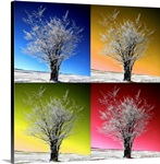 Four Seasons