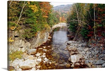 Gentle Creek