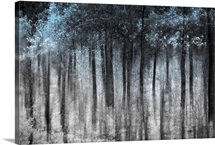 Ghost Forest