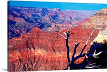 Grand Canyon II