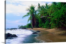 Jungle Meets the Pacific Ocean, Corcovado National Park, Costa R