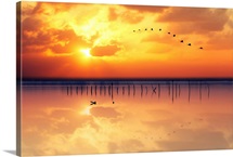 Migration