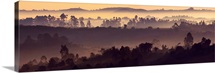 Misty Hills