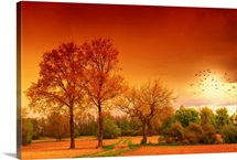 Orange World