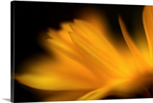 Orangesque