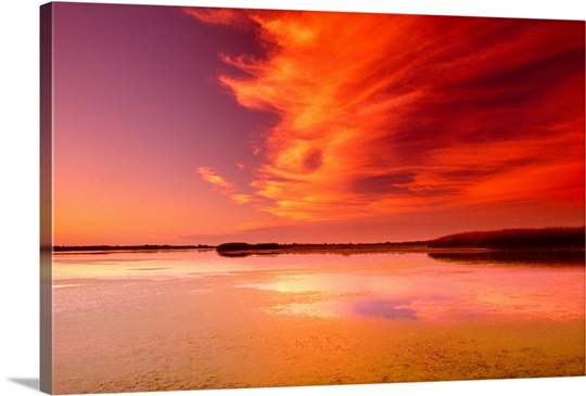 Red Sky Rush