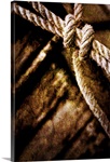 Secure in the Hope