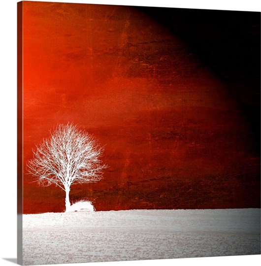 Sensation in Red