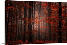 Spiritual Wood