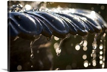 Splash