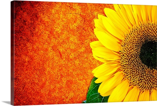 Summers Hope