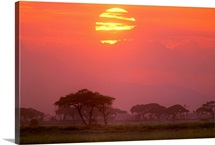 Sunscape