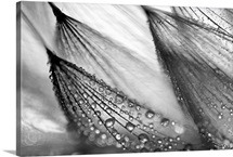 Sweeping In the Rain