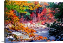 Swift River Autumn Scenic, White Mountains National Forest, New