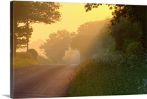 The Road Not Taken