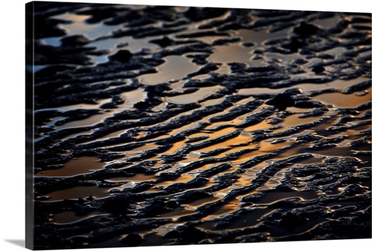 Tide is Out