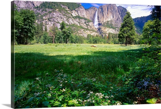 View of the Yosemite Valley and Falls, California 
