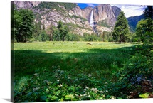 View of the Yosemite Valley and Falls, California