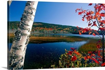 Where Is My Canoe