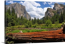 Yosemite Valley