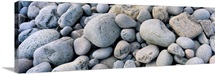 Beach Rocks Acadia National Park ME