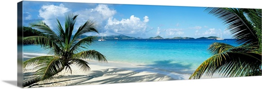 Beach US Virgin Islands