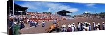 Calf Roping Event at Ellensburg Rodeo