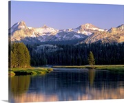California, Yosemite National Park, River flowing through the forest