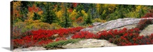 Calillac Mountain Acadia National Park ME