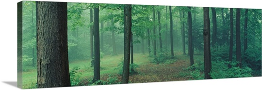 Chestnut Ridge Park Orchard Park NY