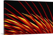 Close-up of a glowing pattern