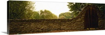 Close-up of a stone wall, County Kilkenny, Republic Of Ireland