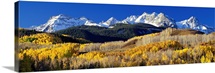 Colorado, Rocky Mountains, aspens, autumn