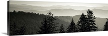Dawn Great Smoky Mountains National Park Cherokee NC