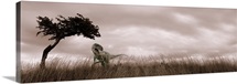 Dinosaur in grass