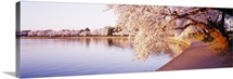 District of Columbia, Washington DC, Tidal Basin