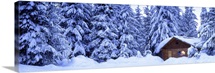 Evening Lost Lake Cabin Whistler British Columbia Canada
