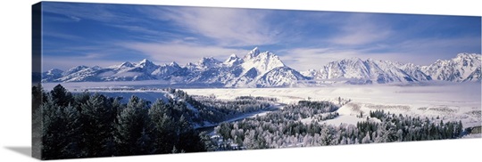 Evergreen trees on a snow covered landscape, Grand Teton National Park, Wyoming