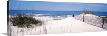 Fence on the beach, Gulf Of Mexico, St. Joseph Peninsula State Park, Florida