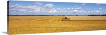 Field Farm MN