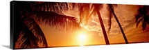 Florida, Fort Meyers, sunset