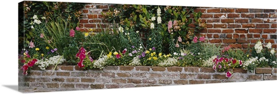 Flower beds along a brick wall, West Jones Street, Savannah, Georgia